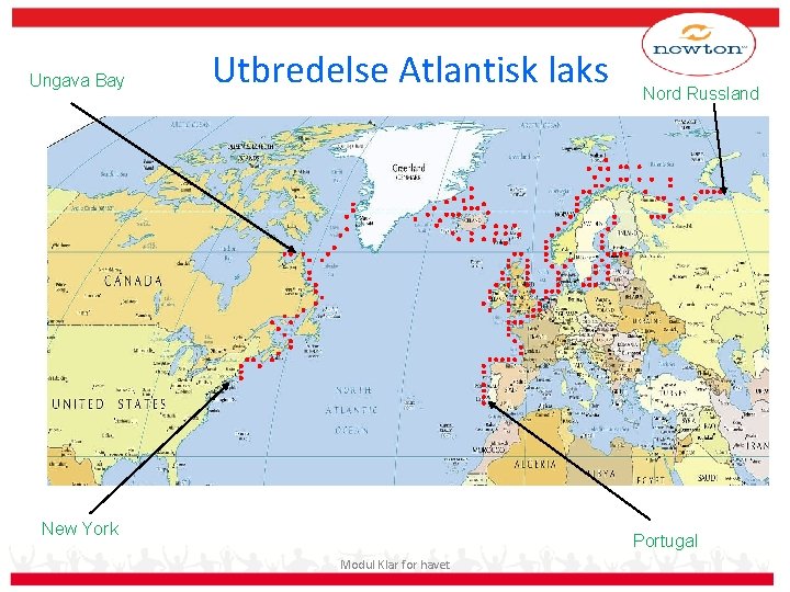 Ungava Bay Utbredelse Atlantisk laks New York Nord Russland Portugal Modul Klar for havet