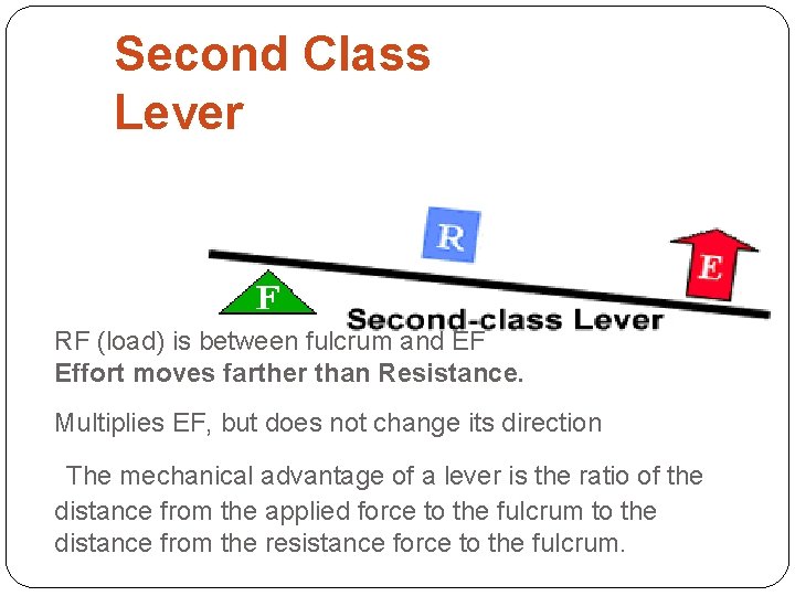 Second Class Lever RF (load) is between fulcrum and EF Effort moves farther than