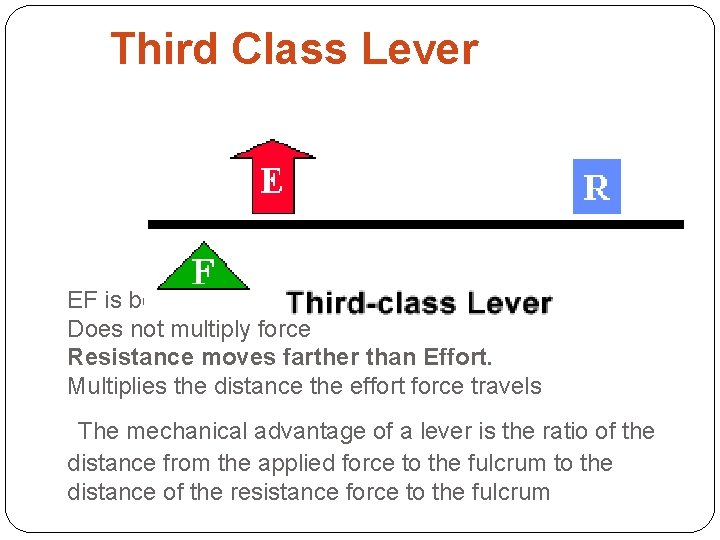 Third Class Lever EF is between fulcrum and RF (load) Does not multiply force