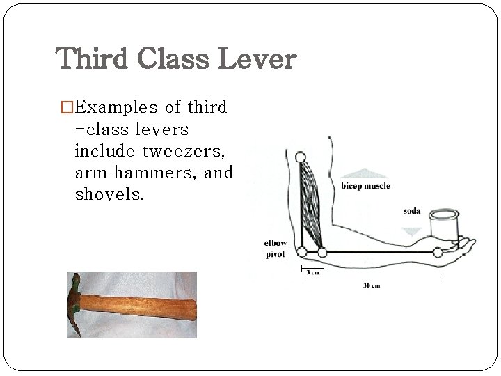 Third Class Lever �Examples of third -class levers include tweezers, arm hammers, and shovels.