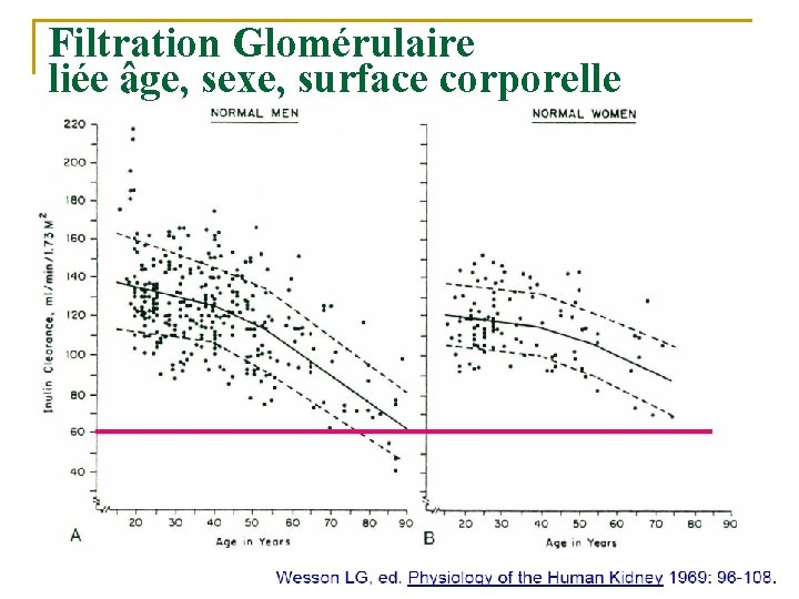 Filtration Glomérulaire liée âge, sexe, surface corporelle 