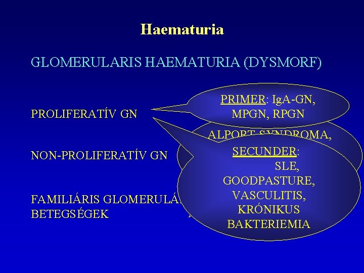 Haematuria GLOMERULARIS HAEMATURIA (DYSMORF) PROLIFERATÍV GN PRIMER: Ig. A-GN, MPGN, RPGN ALPORT-SYNDROMA, FABRY-BETEGSÉG, SECUNDER: