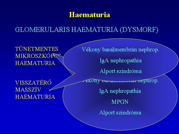 Haematuria GLOMERULARIS HAEMATURIA (DYSMORF) TÜNETMENTES MIKROSZKÓPOS HAEMATURIA Vékony basalmembrán nephrop. Ig. A nephropathia Alport