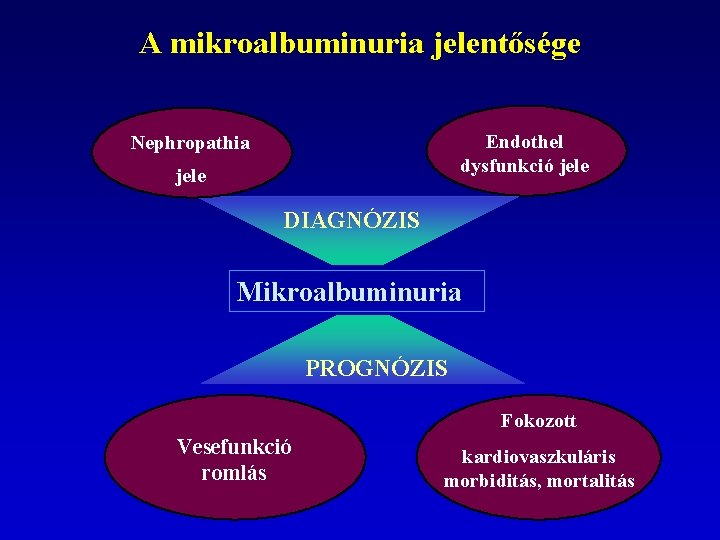 A mikroalbuminuria jelentősége Endothel dysfunkció jele Nephropathia jele DIAGNÓZIS Mikroalbuminuria PROGNÓZIS Fokozott Vesefunkció romlás