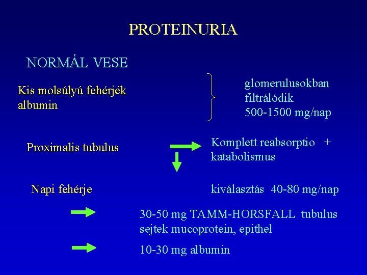 PROTEINURIA NORMÁL VESE glomerulusokban filtrálódik 500 -1500 mg/nap Kis molsúlyú fehérjék albumin Proximalis tubulus