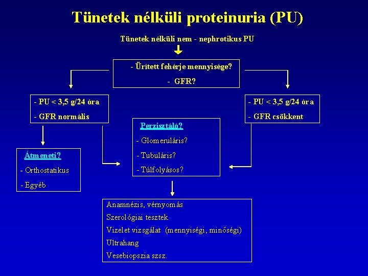 Tünetek nélküli proteinuria (PU) Tünetek nélküli nem - nephrotikus PU - Ürített fehérje mennyisége?