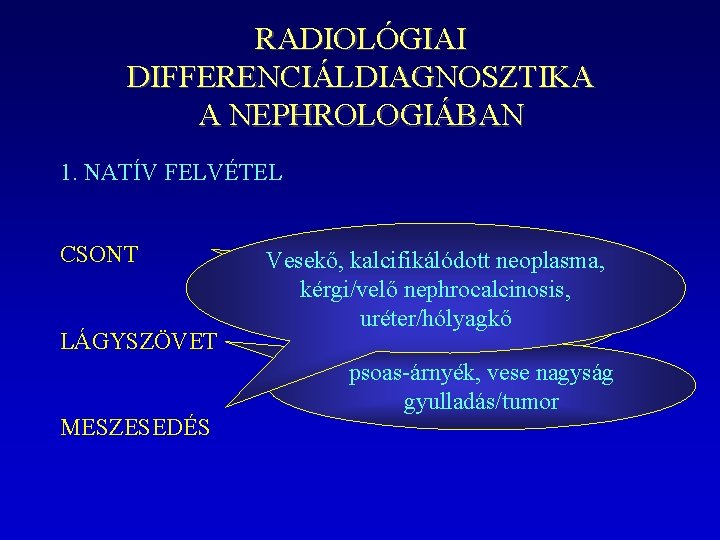RADIOLÓGIAI DIFFERENCIÁLDIAGNOSZTIKA A NEPHROLOGIÁBAN 1. NATÍV FELVÉTEL CSONT LÁGYSZÖVET MESZESEDÉS Vesekő, Renalis kalcifikálódott neoplasma,