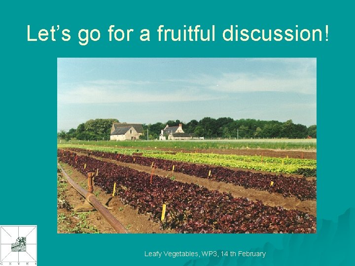 Let’s go for a fruitful discussion! Leafy Vegetables, WP 3, 14 th February 