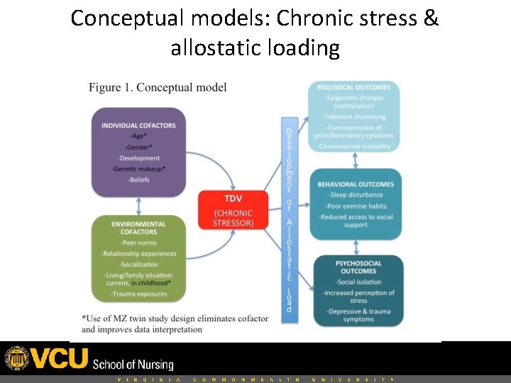 Conceptual models: Chronic stress & allostatic loading 