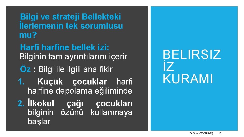 Bilgi ve strateji Bellekteki İlerlemenin tek sorumlusu mu? Harfi harfine bellek izi: Bilginin tam