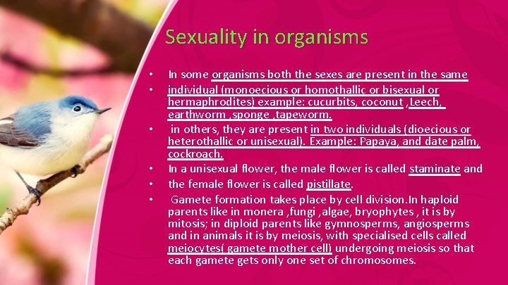 Sexuality in organisms • • • In some organisms both the sexes are present