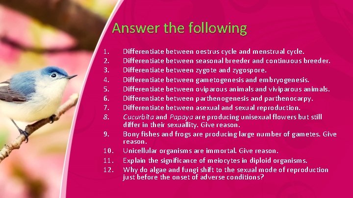 Answer the following 1. 2. 3. 4. 5. 6. 7. 8. 9. 10. 11.