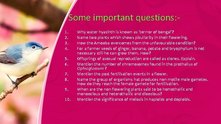 Some important questions: 1. 2. 3. 4. 5. 6. 7. 8. 9. 10. Why