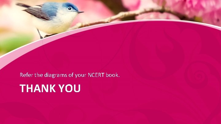 Refer the diagrams of your NCERT book. THANK YOU 