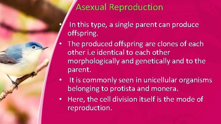 Asexual Reproduction • In this type, a single parent can produce offspring. • The