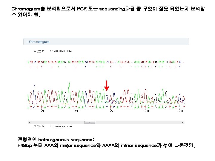 Chromogram을 분석함으로서 PCR 또는 sequencing과정 중 무엇이 잘못 되었는지 분석할 수 있어야 함. 전형적인