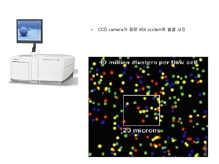  • CCD camera가 잡은 454 system의 발광 사진 