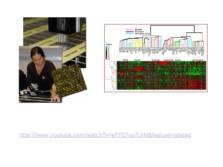 http: //www. youtube. com/watch? v=e. PFE 7 yg 7 Lv. M&feature=related 