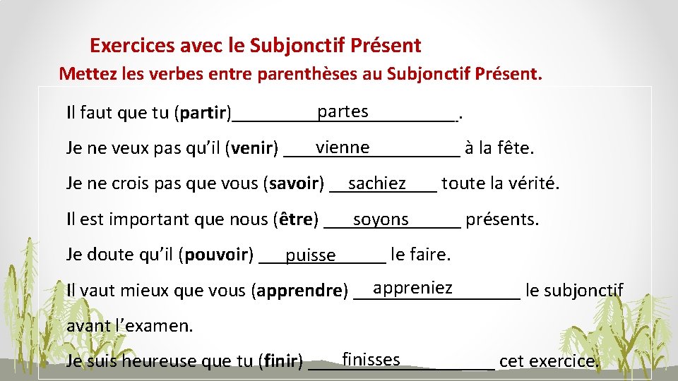 Exercices avec le Subjonctif Présent Mettez les verbes entre parenthèses au Subjonctif Présent. partes