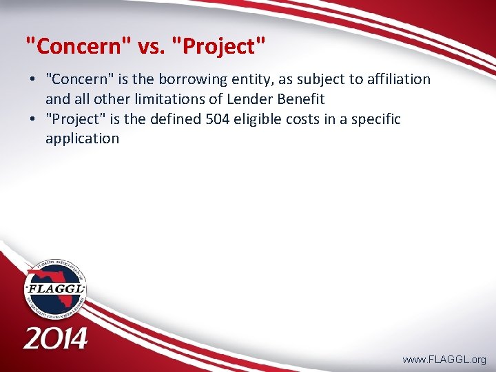 "Concern" vs. "Project" • "Concern" is the borrowing entity, as subject to affiliation and