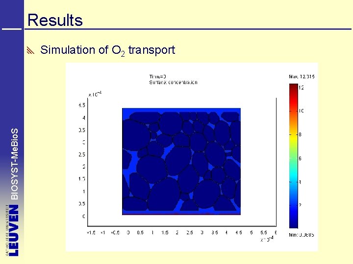 Results BIOSYST-Me. Bio. S Simulation of O 2 transport 