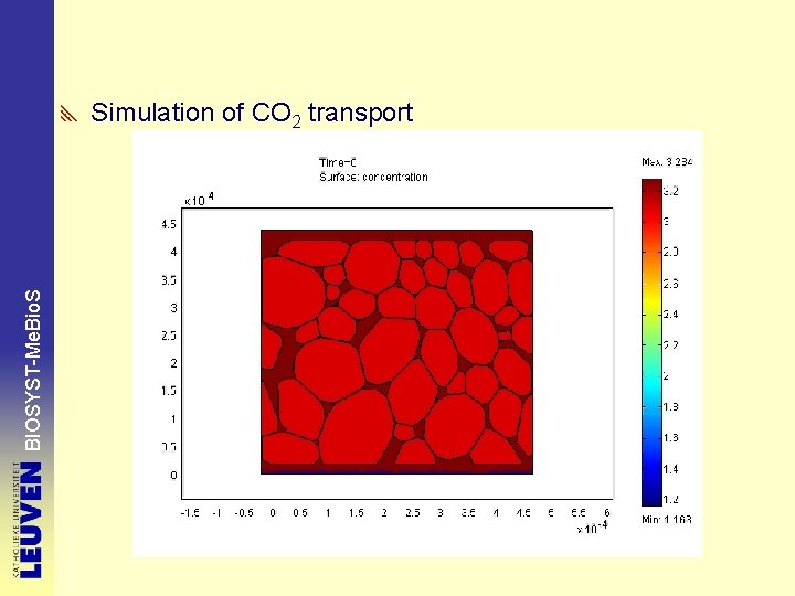 BIOSYST-Me. Bio. S Simulation of CO 2 transport 