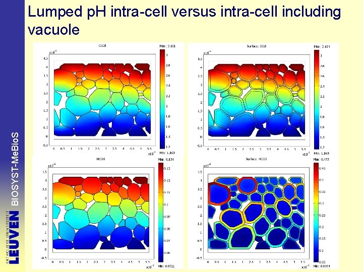 BIOSYST-Me. Bio. S Lumped p. H intra-cell versus intra-cell including vacuole 