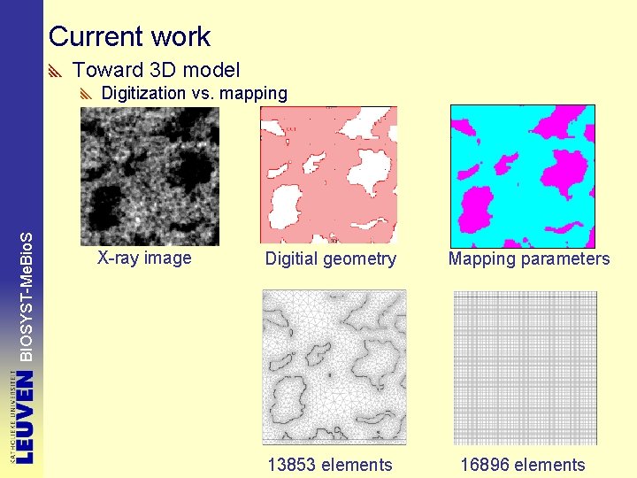 Current work Toward 3 D model BIOSYST-Me. Bio. S Digitization vs. mapping X-ray image