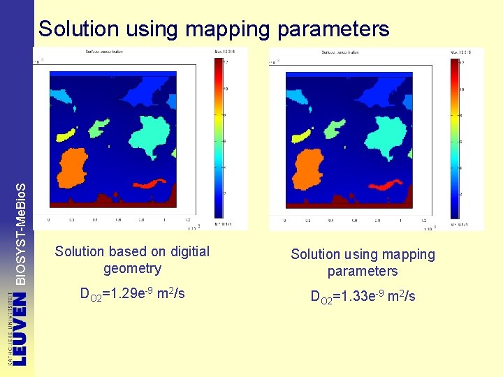 BIOSYST-Me. Bio. S Solution using mapping parameters Solution based on digitial geometry Solution using
