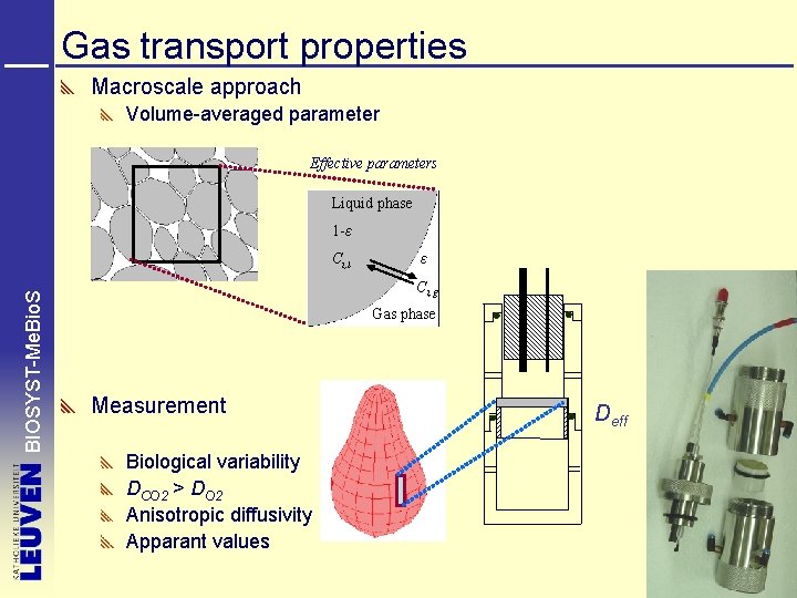 Gas transport properties Macroscale approach Volume-averaged parameter Effective parameters Liquid phase 1 -ε BIOSYST-Me.