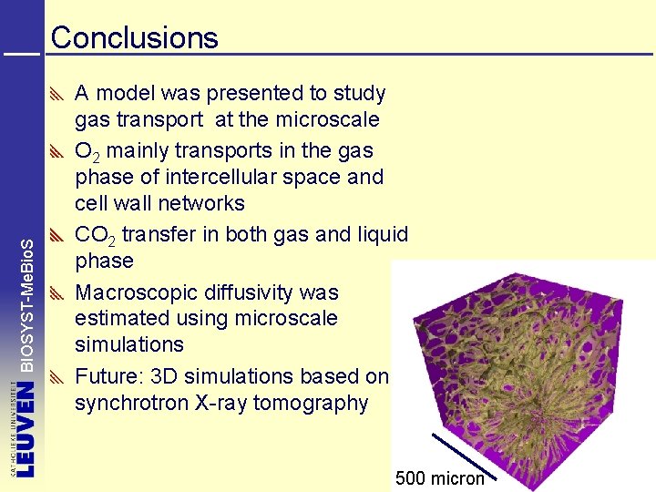 BIOSYST-Me. Bio. S Conclusions A model was presented to study gas transport at the