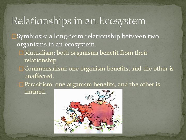 Relationships in an Ecosystem �Symbiosis: a long-term relationship between two organisms in an ecosystem.
