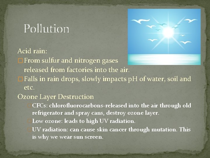 Pollution Acid rain: � From sulfur and nitrogen gases released from factories into the