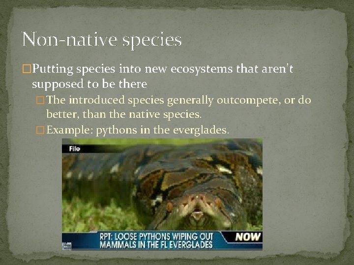 Non-native species �Putting species into new ecosystems that aren’t supposed to be there �