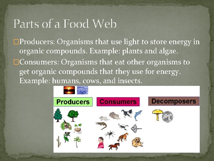 Parts of a Food Web �Producers: Organisms that use light to store energy in