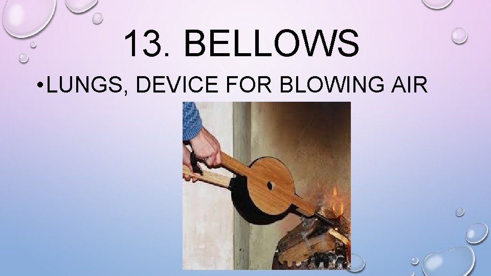 13. BELLOWS • LUNGS, DEVICE FOR BLOWING AIR 