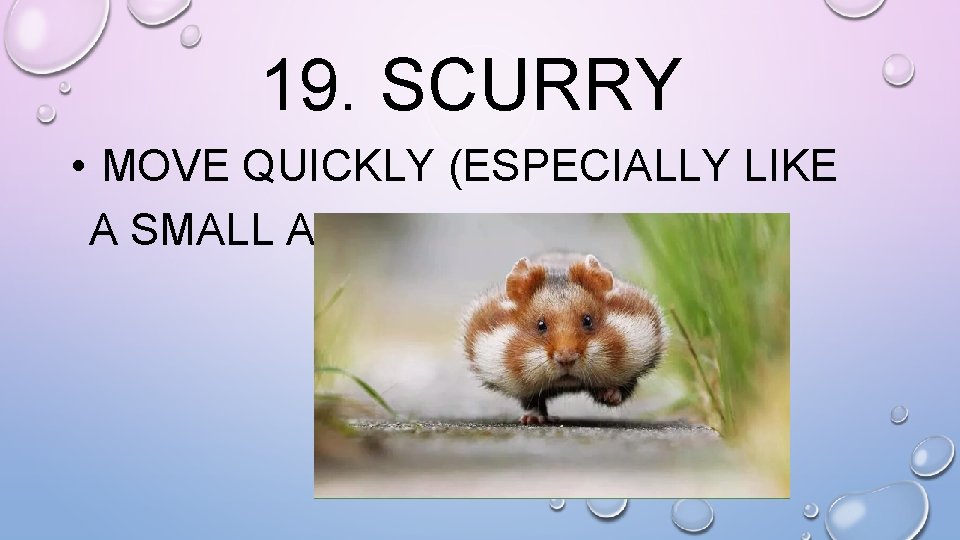 19. SCURRY • MOVE QUICKLY (ESPECIALLY LIKE A SMALL ANIMAL) 