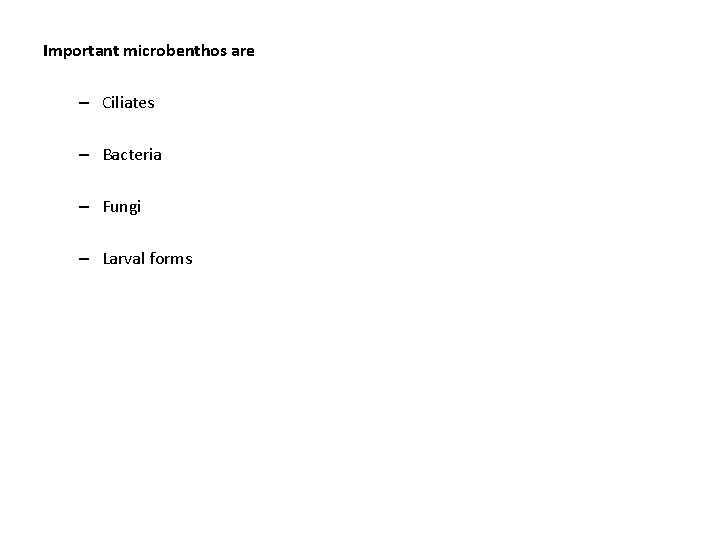 Important microbenthos are – Ciliates – Bacteria – Fungi – Larval forms 