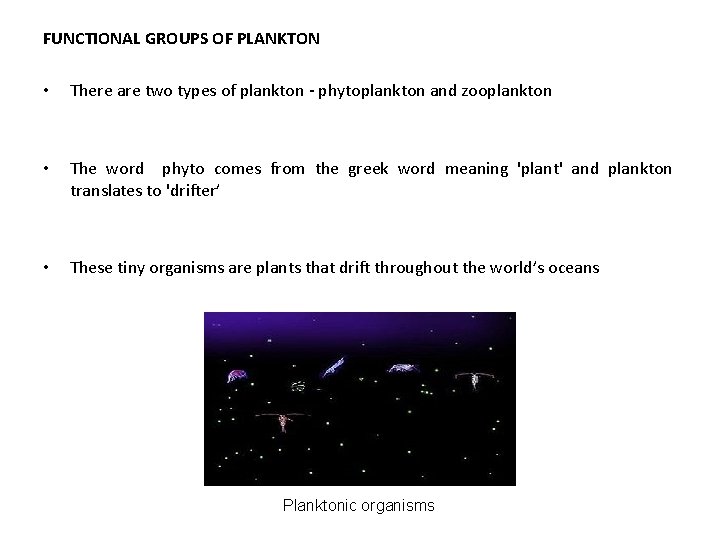 FUNCTIONAL GROUPS OF PLANKTON • There are two types of plankton - phytoplankton and