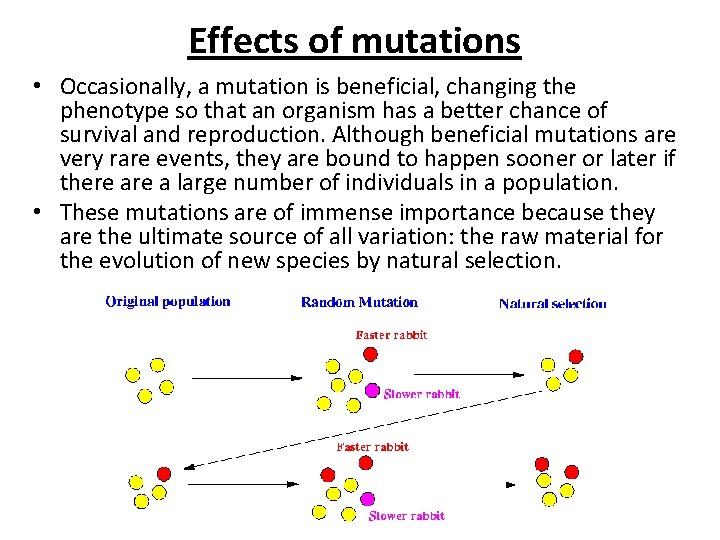 Mutations Mutations Any unpredictable change in the structure