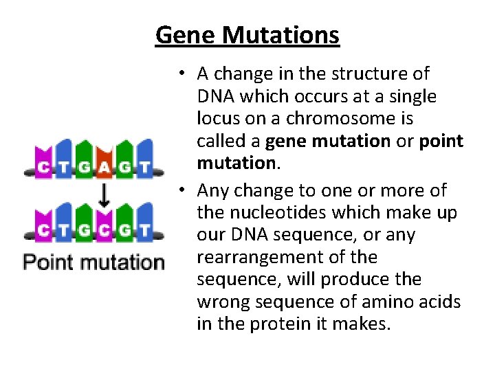Mutations Mutations Any unpredictable change in the structure