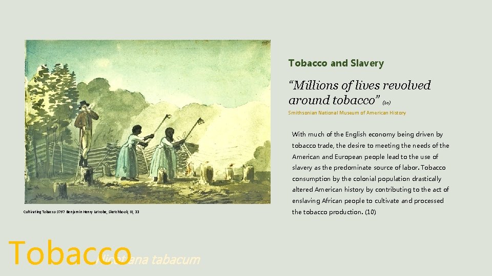 Tobacco and Slavery “Millions of lives revolved around tobacco” (10) Smithsonian National Museum of