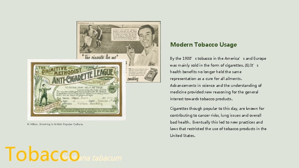 Modern Tobacco Usage By the 1900’s tobacco in the America’s and Europe was mainly