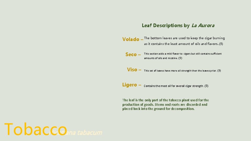 Leaf Descriptions by La Aurora Volado – The bottom leaves are used to keep