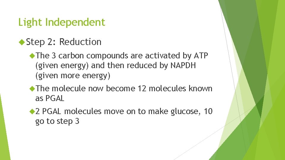 Light Independent Step 2: Reduction The 3 carbon compounds are activated by ATP (given