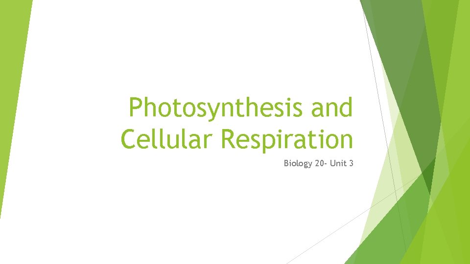 Photosynthesis and Cellular Respiration Biology 20 - Unit 3 