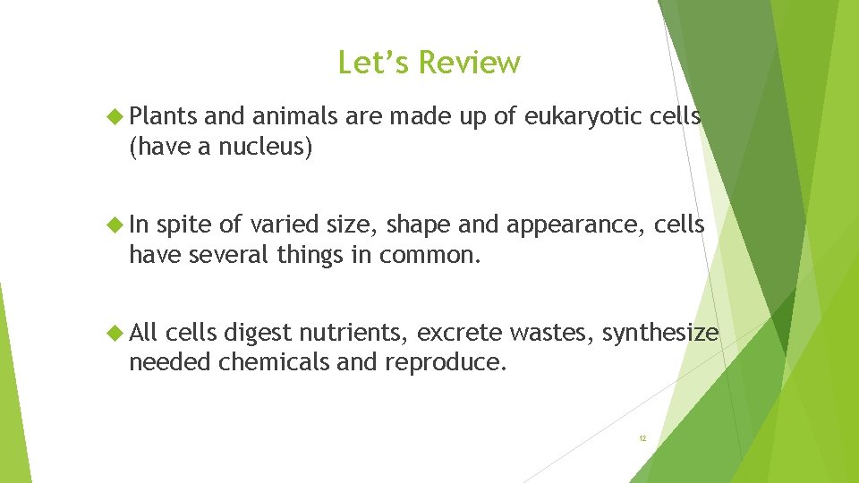 Let’s Review Plants and animals are made up of eukaryotic cells (have a nucleus)