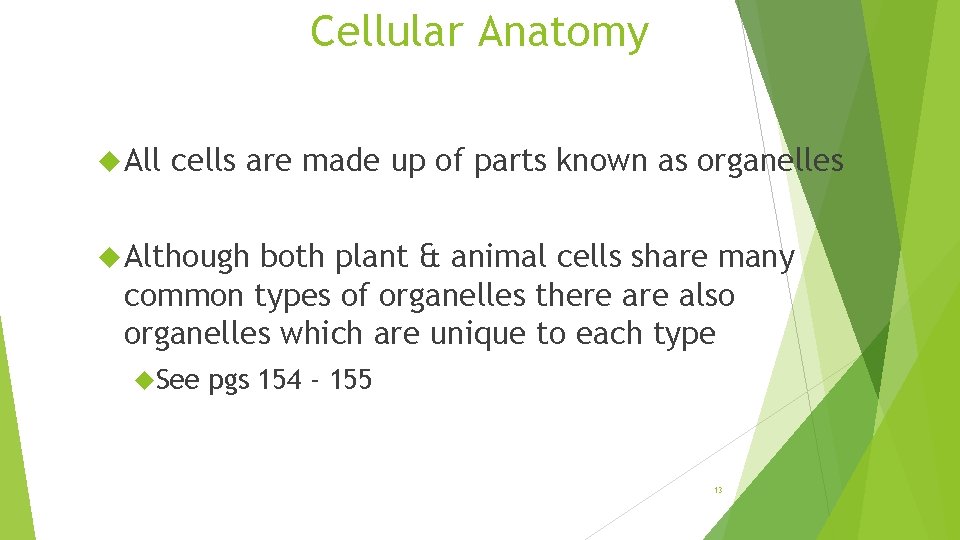 Cellular Anatomy All cells are made up of parts known as organelles Although both