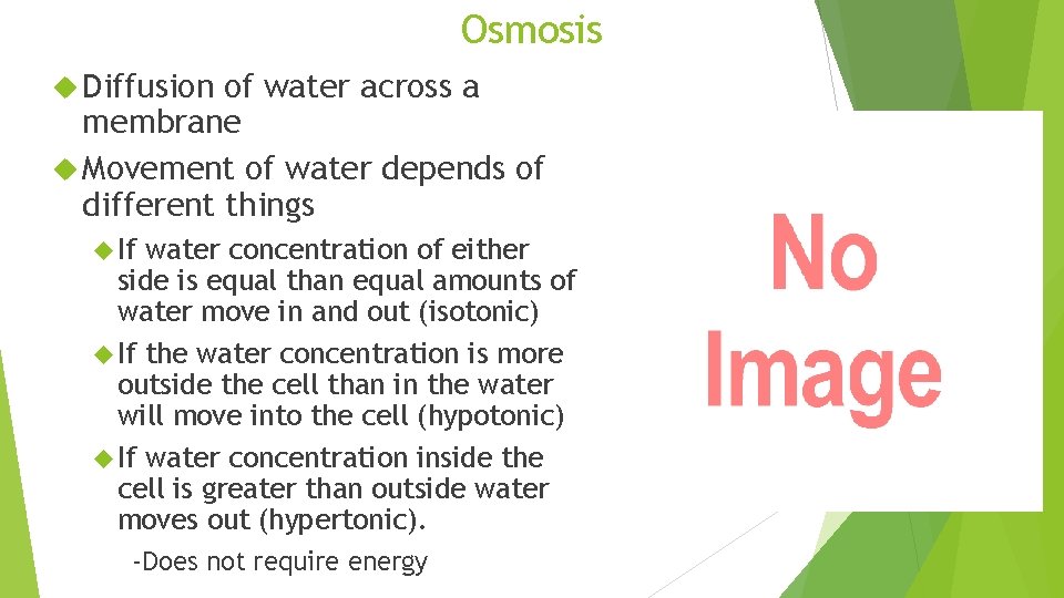 Osmosis Diffusion of water across a membrane Movement of water depends of different things