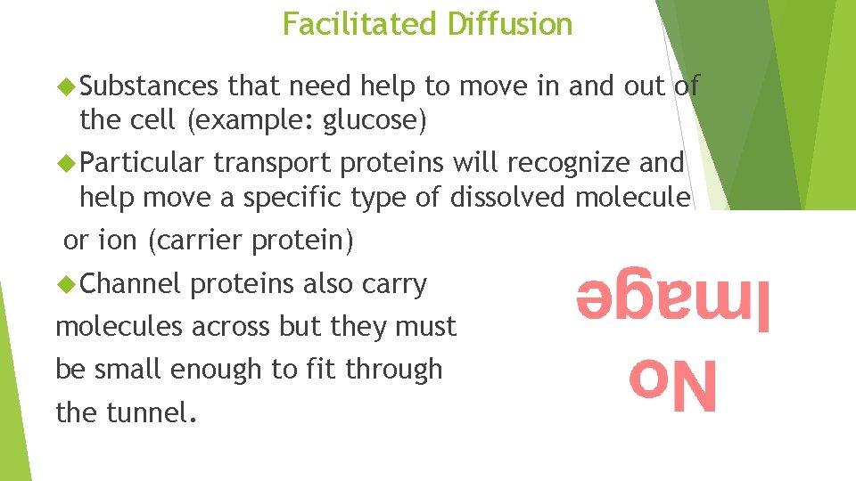 Facilitated Diffusion Substances that need help to move in and out of the cell